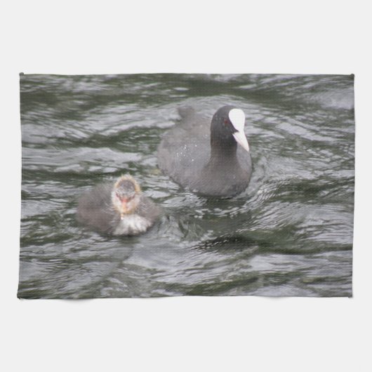 Coot and Chick Kittuch Geschirrtuch (Horizontal)