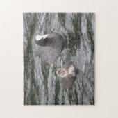 Coot and Chick Puzzle (Vertikal)