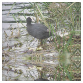 Coot auf dem Gemusterten Tiergewebe des Flusses Stoff (Nahaufnahme)