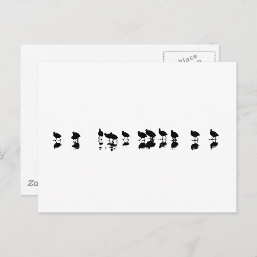 Coot Design - Schwarz auf Weiß Postkarte (Vorne/Hinten)