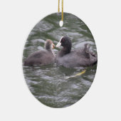Coot Fütternd Hungerfestungen Keramikornament (Rechts)