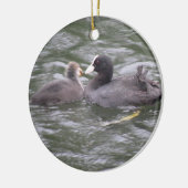 Coot Fütternd Hungerfestungen Keramikornament (Links)