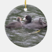 Coot Fütternd Hungerfestungen Keramikornament (Hinten)