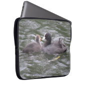 Coot Fütternd Hungerkind Laptop-Sieb Laptopschutzhülle (Vorne Rechts)