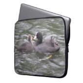 Coot Fütternd Hungerkind Laptop-Sieb Laptopschutzhülle (Vorderseite Links)