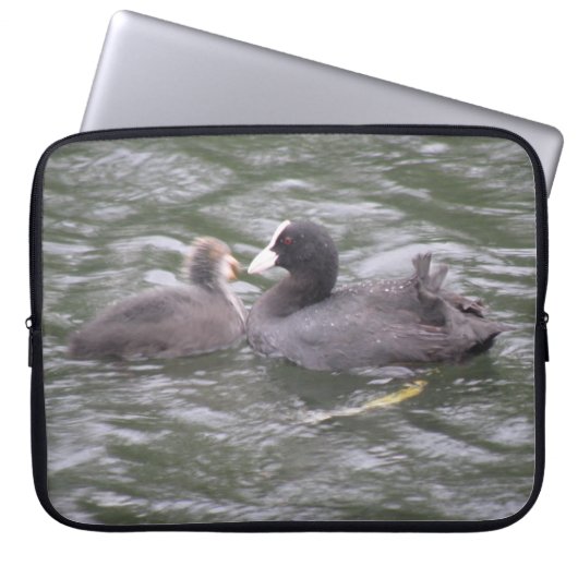 Coot Fütternd Hungerkind Laptop-Sieb Laptopschutzhülle (Vorderseite)
