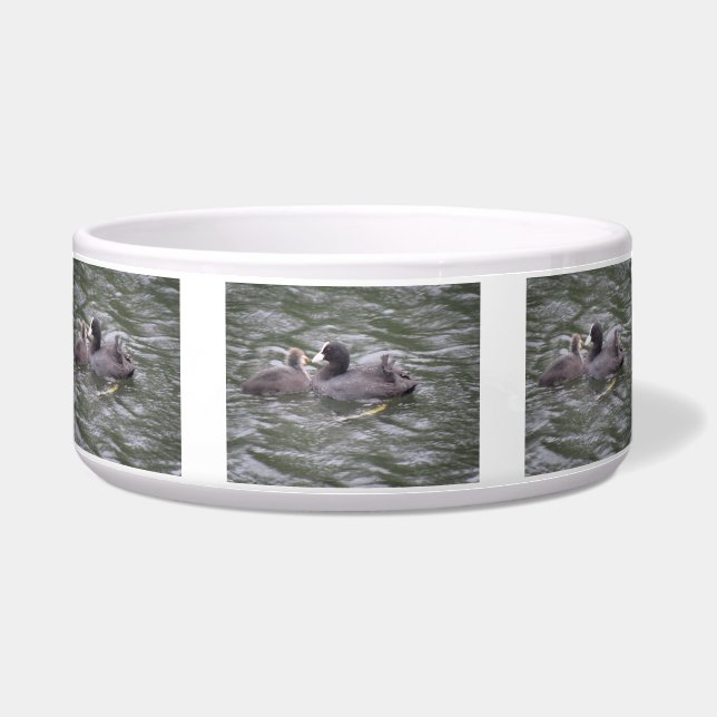 Coot Fütternd Hungerkuchen Napf (Vorderseite)