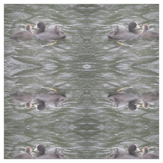 Coot Fütternd Hungerküken Gemustertes Tiergewebe Stoff (Muster)