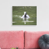Coot Swimming Canvas Print Leinwanddruck (Insitu (Wohnzimmer))