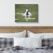 Coot Swimming Canvas Print Leinwanddruck (Insitu (Schlafzimmer))