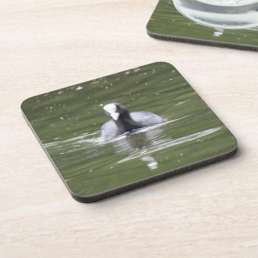 Coot Swimming Cork Untersetzer (Linke Seite)