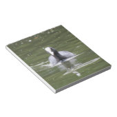 Coot Swimming Notepad Notizblock (angewinkelt)
