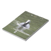Coot Swimming Notepad Notizblock (Rotiert)