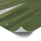 Coot Swimming Print Poster (Ecke)