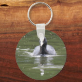 Coot Swimming Schlüsselanhänger (Vorderseite)