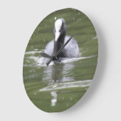 Coot Swimming Wall Clock Große Wanduhr (Winkel)