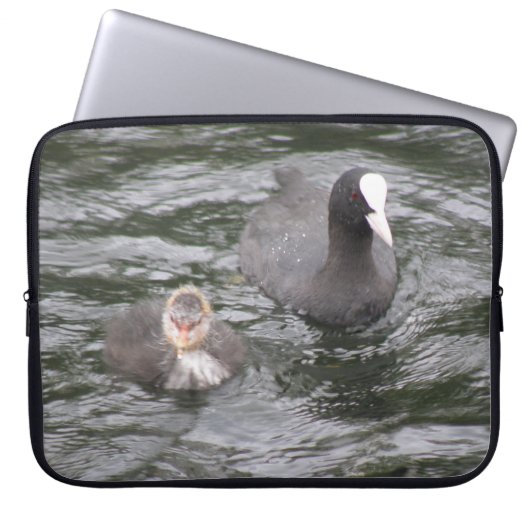 Coot und Chick Laptop Sleeve (Vorderseite)