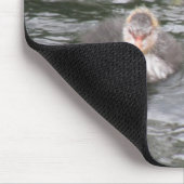 Coot und Chick Mousepad (Ecke)