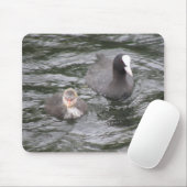 Coot und Chick Mousepad (Mit Mouse)