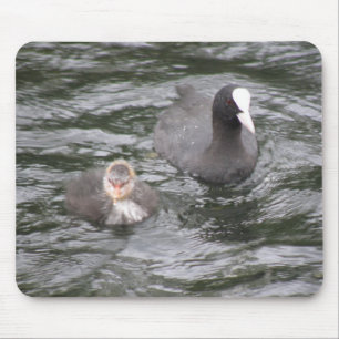 Coot und Chick Mousepad