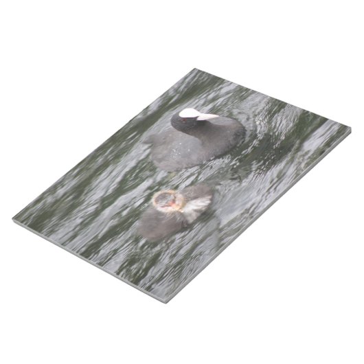 Coot und Editor auswählen Notizblock (angewinkelt)