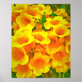 Copa de Oro Art Print Poster (Vorne)