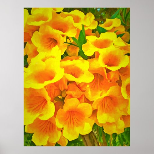 Copa de Oro Art Print Poster (Vorne)