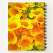 Copa de Oro Notizblock (Rückseite)