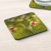 Copan, Honduras Getränkeuntersetzer (Linke Seite)