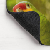 Copan, Honduras Mousepad (Ecke)