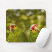 Copan, Honduras Mousepad (Mit Mouse)