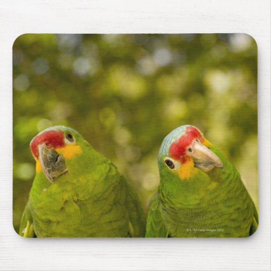 Copan, Honduras Mousepad (Vorne)