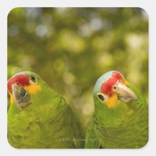 Copan, Honduras Quadratischer Aufkleber (Vorderseite)