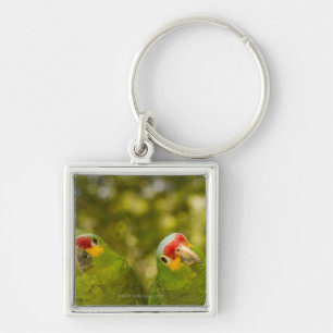 Copan, Honduras Schlüsselanhänger