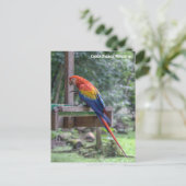 Copán Ruinas, Honduras Postkarte (Stehend Vorderseite)