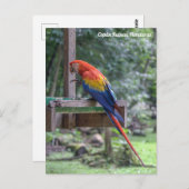 Copán Ruinas, Honduras Postkarte (Vorne/Hinten)