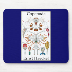 Copepoda durch Ernst Haeckel Mousepad