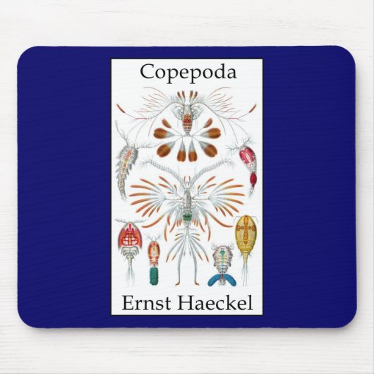 Copepoda durch Ernst Haeckel Mousepad (Vorne)
