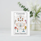 Copepoda von Ernst Haeckel Postkarte (Stehend Vorderseite)