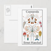 Copepoda von Ernst Haeckel Postkarte (Vorne/Hinten)