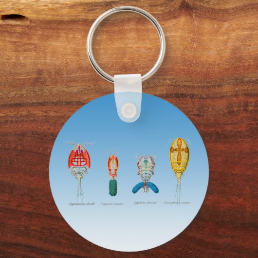Copepoden Schlüsselanhänger (Vorderseite)