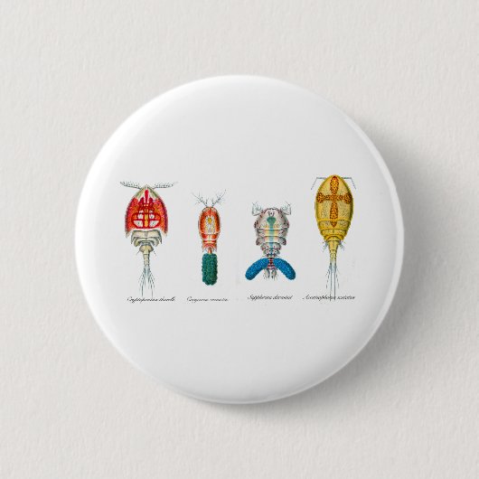 Copepods Button (Vorderseite)