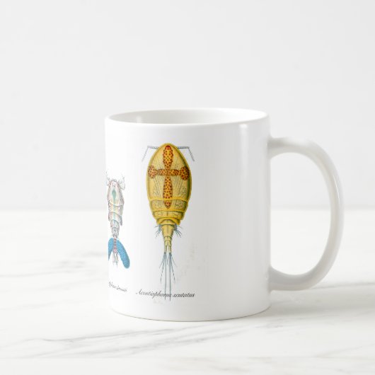 Copepods Kaffeetasse (Rechts)