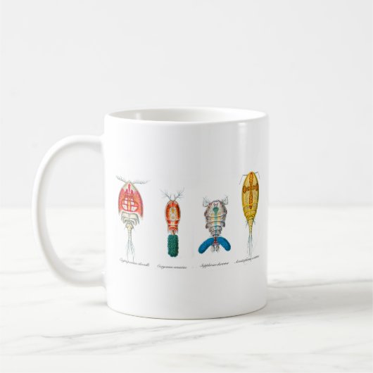 Copepods Kaffeetasse (Links)