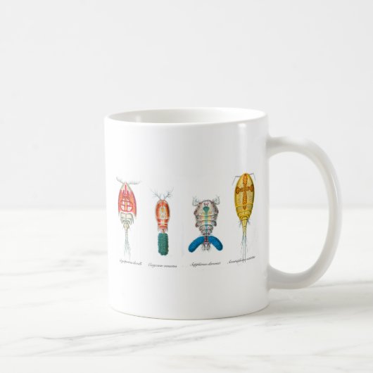 Copepods Kaffeetasse (Rechts)