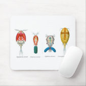 Copepods Mousepad (Mit Mouse)