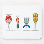 Copepods Mousepad (Vorne)