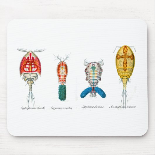 Copepods Mousepad (Vorne)