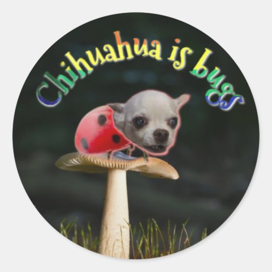 Copernicus-Bug Runder Aufkleber (Vorderseite)