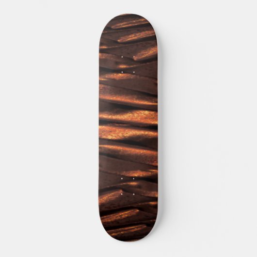 Coppersian Skateboard (Vorderseite)